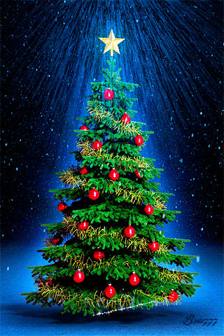 Pretty-Christmas-Tree-christmas-40883886-320-480.gif